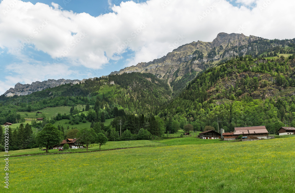 rural landscape against the backdrop of the Alpine mountains