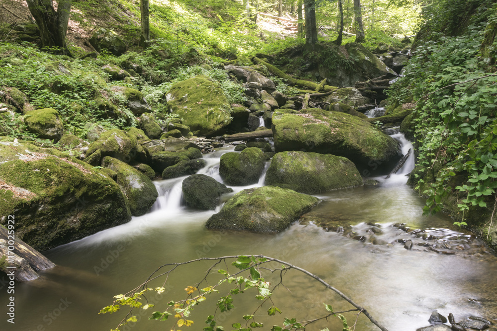 Fototapeta premium Forest waterfall , deep in forests of mountain Cemernik