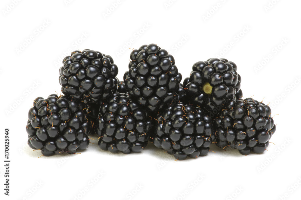 Ripe blackberries isolated on white background Ripe blackberries isolated on white background