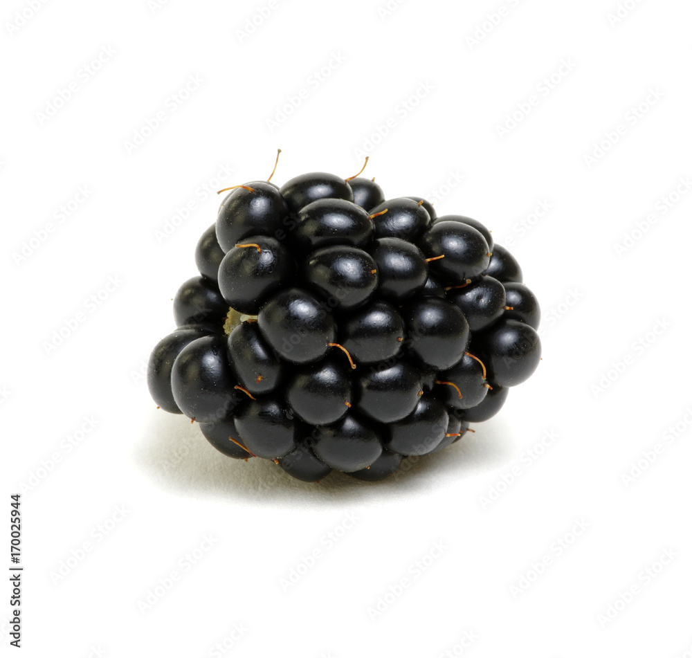 Blackberry isolated on white Blackberry isolated on white