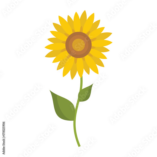 Fototapeta Naklejka Na Ścianę i Meble -  Sunflower icon in flat style vector illustration for design and web isolated on white