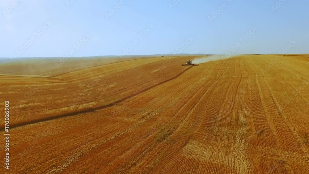 Aerial view of modern combine harvester gathers the wheat crop in 4K Aerial view of modern combine harvester gathers the wheat crop in 4K