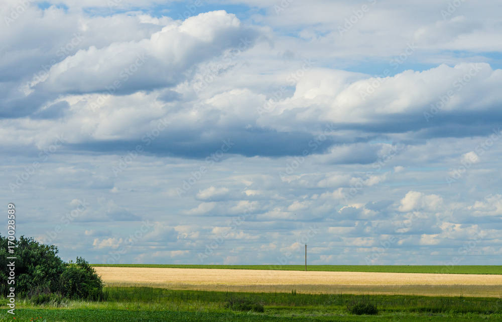 Summer sky over agricultural fields