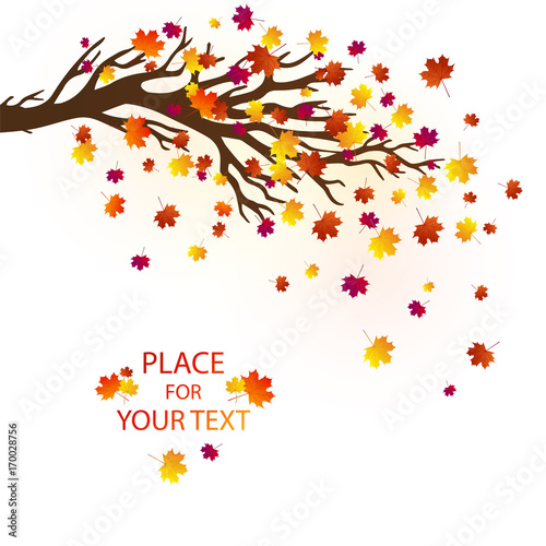 Vector autumn background with maple tree  falling leaves and place for your text. Good for banners  greeting cards  posters  flyers.