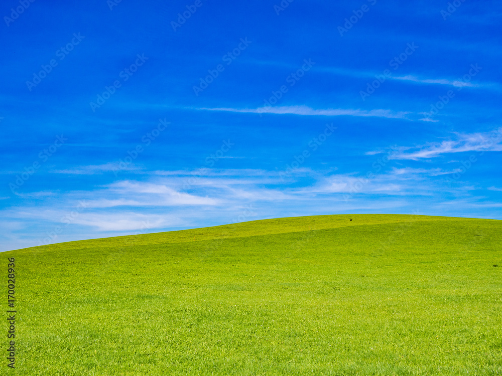 Green field and blue sky in the foothill of Bavarian Alps