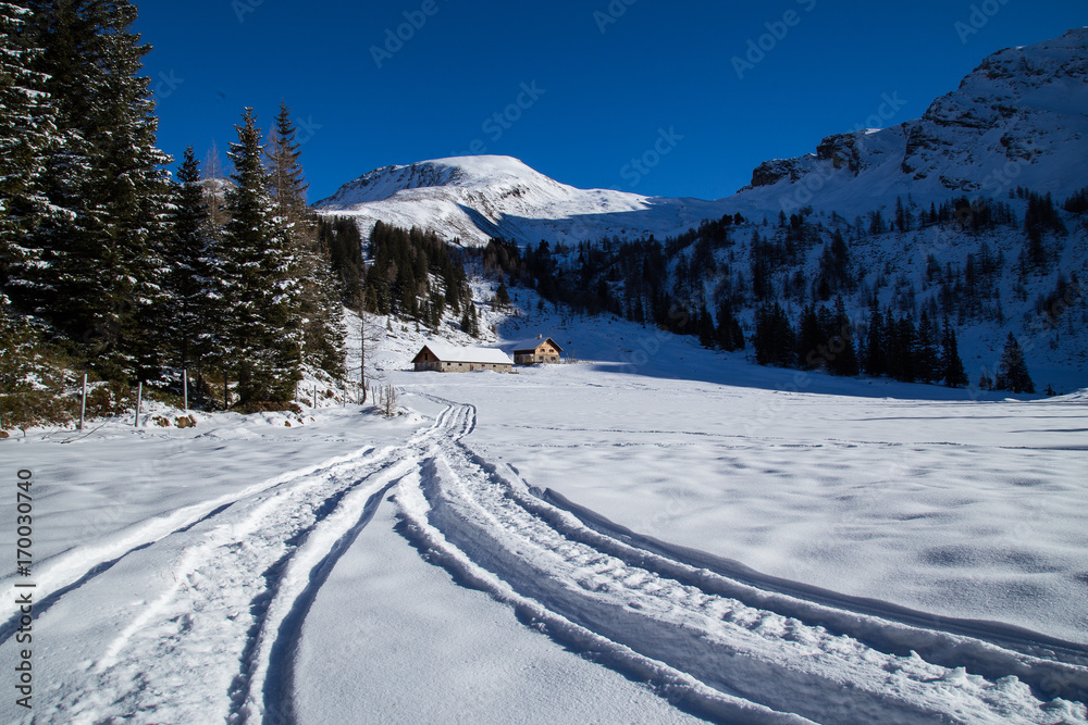 Snowy tracks Snowy tracks