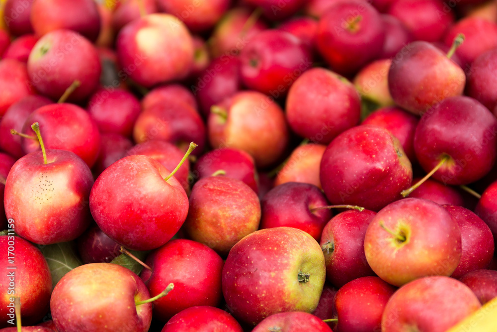 Apple Apple