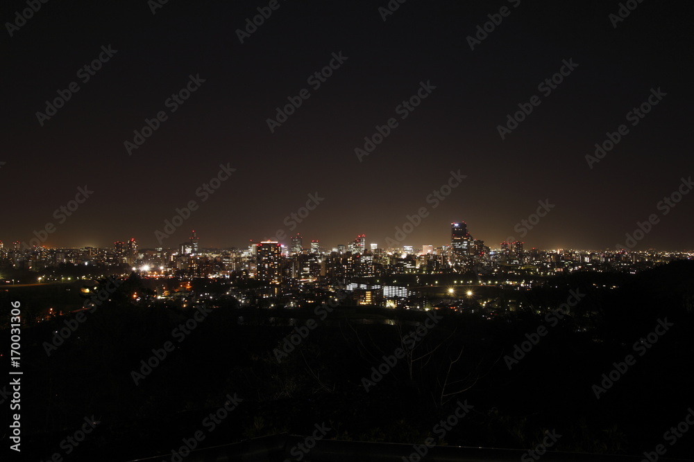 Fototapeta premium 仙台市の夜景