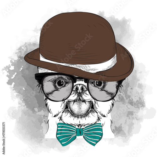 Image Portrait of dog in the hat, cravat and glasses. Yorkshire Terrier. Vector illustration.