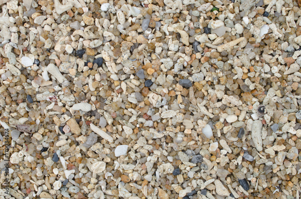 Dried coral and sea shells on sand beach texture background. Dried coral and sea shells on sand beach texture background.