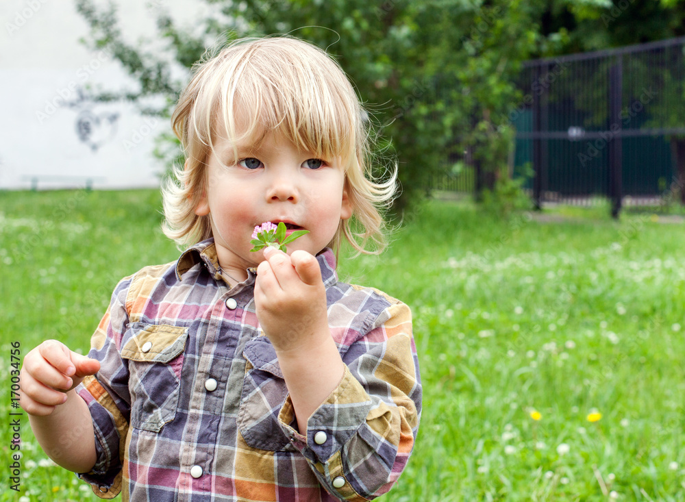 A happy small boy with flower of clover A happy small boy with flower of clover