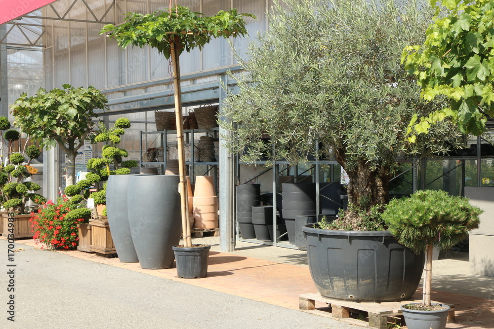 Garden Center, Gartencenter, Gärtnerei