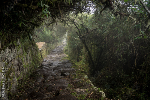 Treppenstufen auf dem Weg zum Sonnentor Inti Punku, Machu Picchu photo