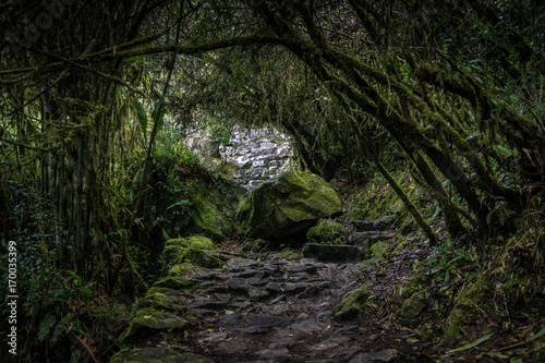 Treppenstufen auf dem Weg zum Sonnentor Inti Punku, Machu Picchu photo