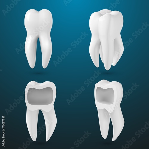 Illustration of Vector Realistic 3D Tooth Set. Healthy Teeth Set Care Vector Product Template