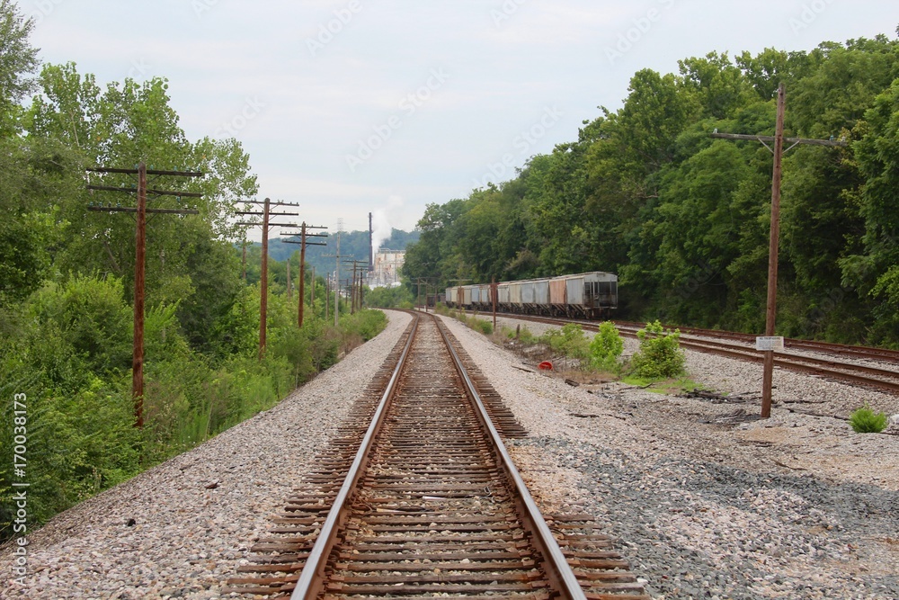 The long railroad track in the wooded area.