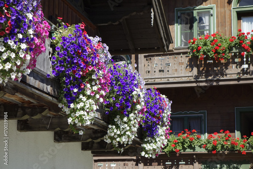 Balcony flowers on a house in Kochel  Bavaria