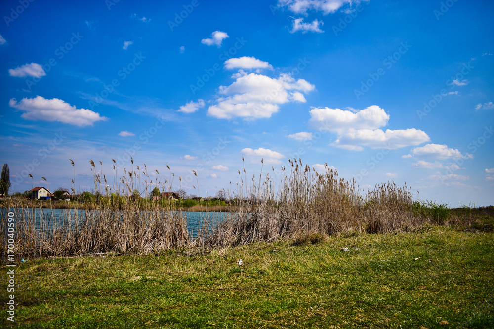 a beautiful landscape of the meadow a beautiful landscape of the meadow