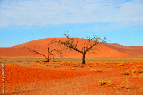 Sossusvlei