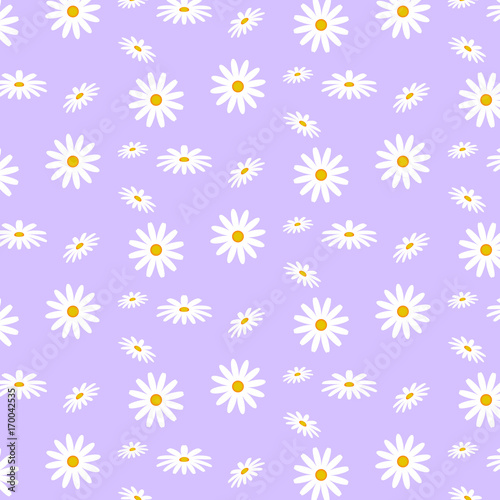 pattern of realistic daisies in different positions on pink background