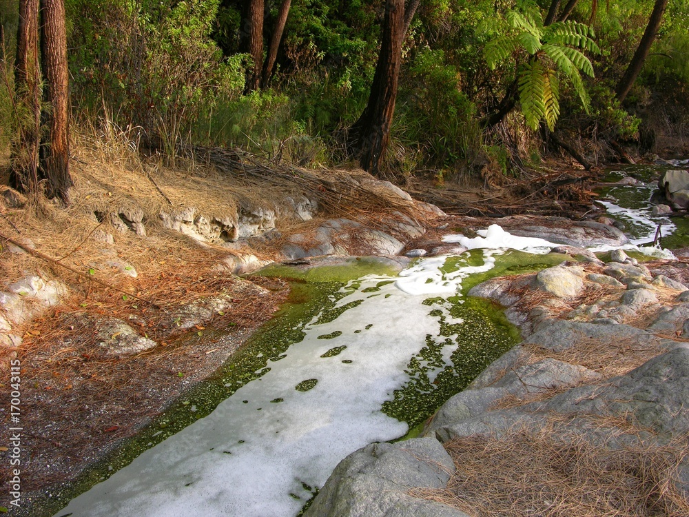 Abfluss der des riesigen, mit heißer Schwefelsäure gefüllten Kratersees des Vulkans Ijen auf der Insel Java/Indonesien. Das Bachwasser weist eine hohe Konzentration aus schwelfeligen Säuren auf Abfluss der des riesigen, mit heißer Schwefelsäure gefüllten Kratersees des Vulkans Ijen auf der Insel Java/Indonesien. Das Bachwasser weist eine hohe Konzentration aus schwelfeligen Säuren auf