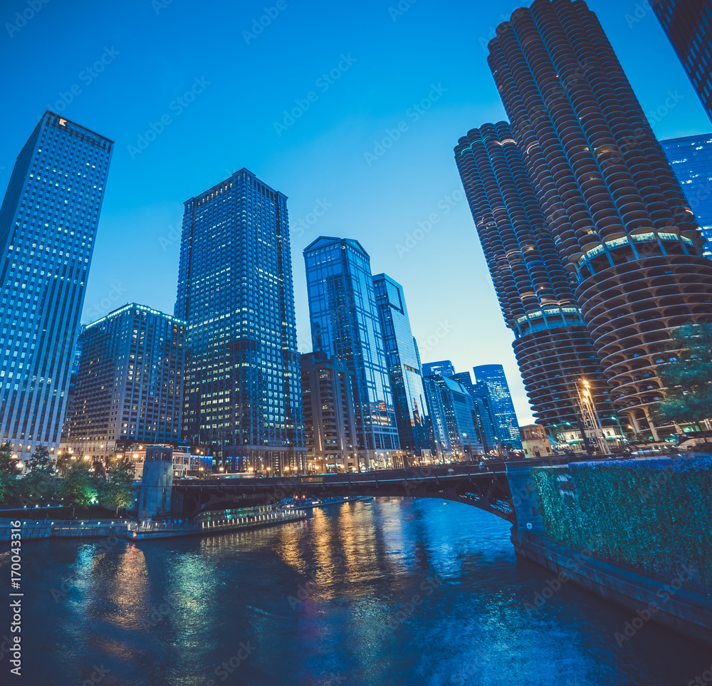 Fototapeta premium Chicago