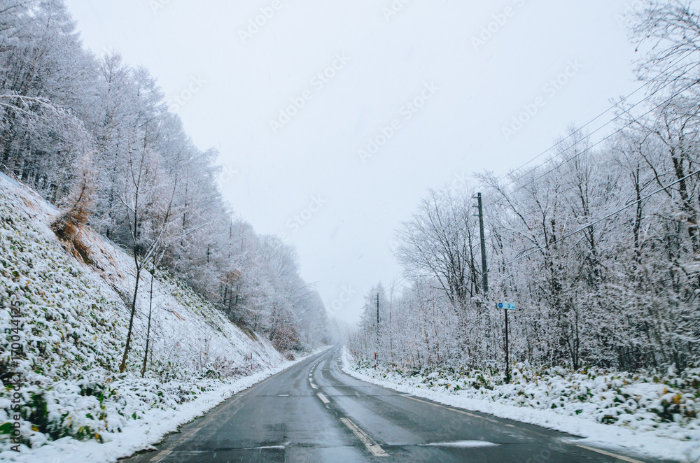 Naklejka premium Amazing winter view along the road from Furano to Biei, located in Hokkaido, Japan famous for it's blue pond. Driving in Hokkaido is amazing, the road-trip was full with amazing view of natural scene.