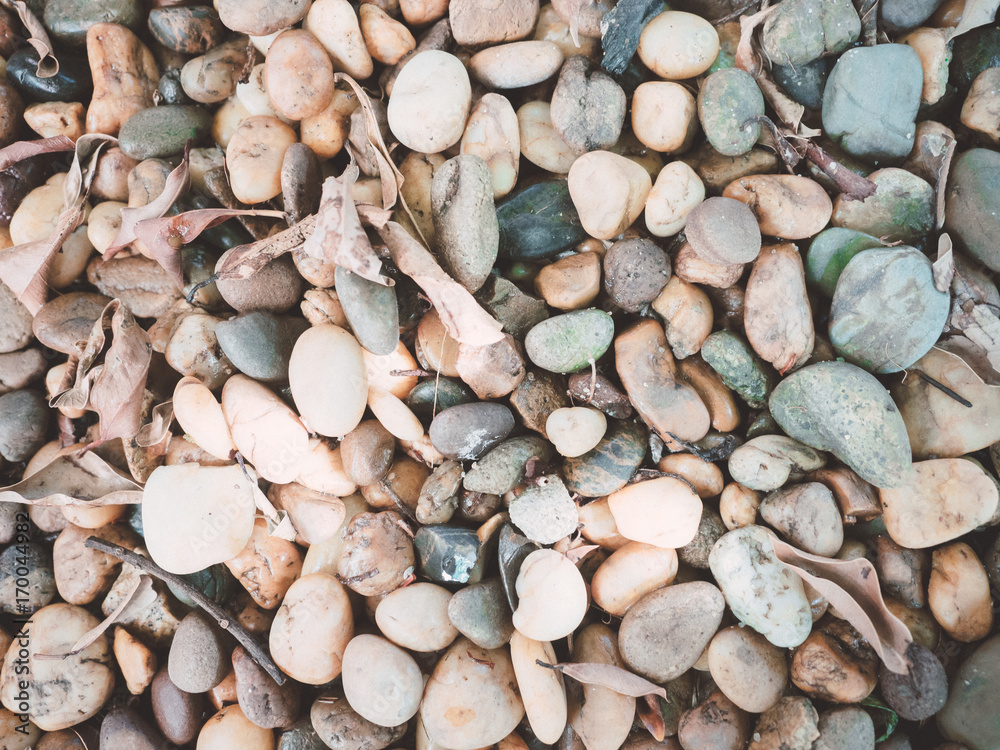 abstract background : small stone and dry leaf from gardening decoration abstract background : small stone and dry leaf from gardening decoration