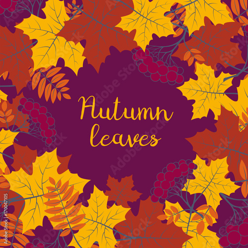 Autumn floral background with colorful silhouettes of tree leaves on purple background, design elements for the fall season banner, poster, flyer or greeting card, vector illustration