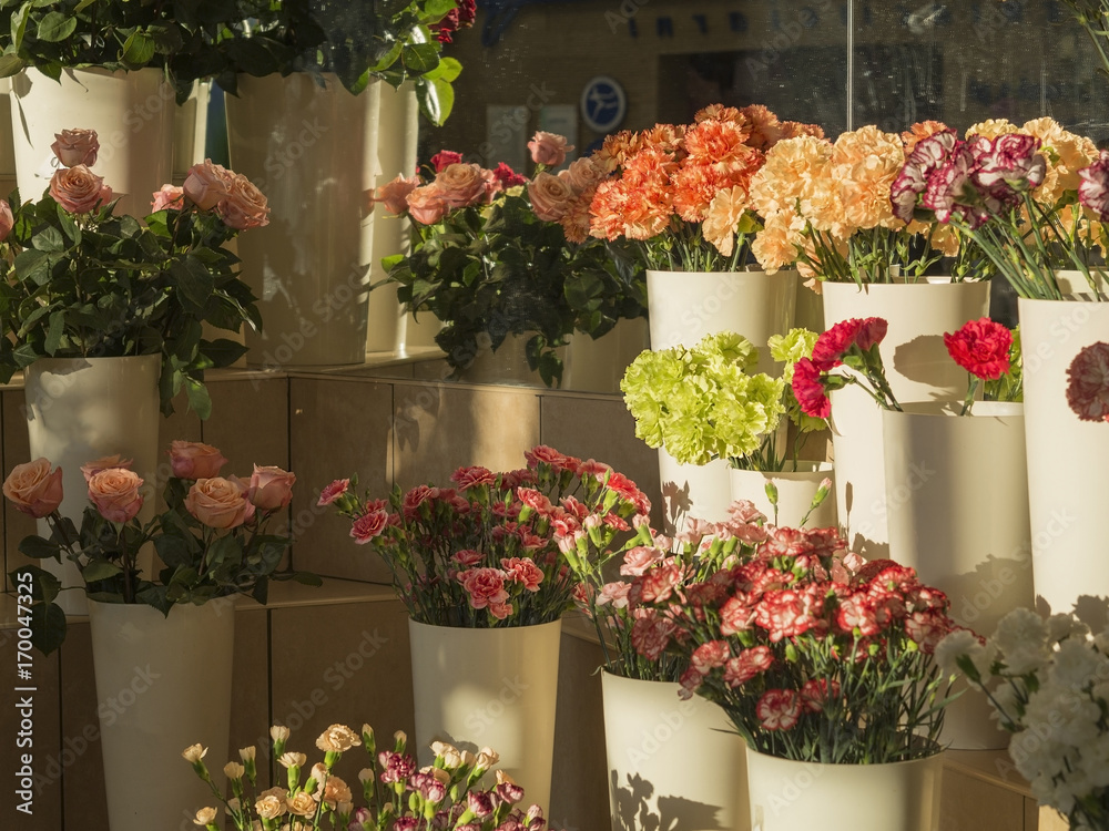 florist shop planty of pink roses and red yellow orange and green carnations in white vases