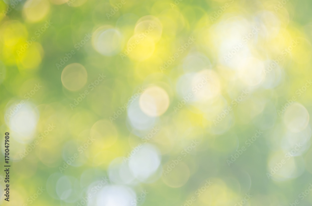 Copy space of nature green bokeh sun light flare and blur leaf abstract texture background. Copy space of nature green bokeh sun light flare and blur leaf abstract texture background.