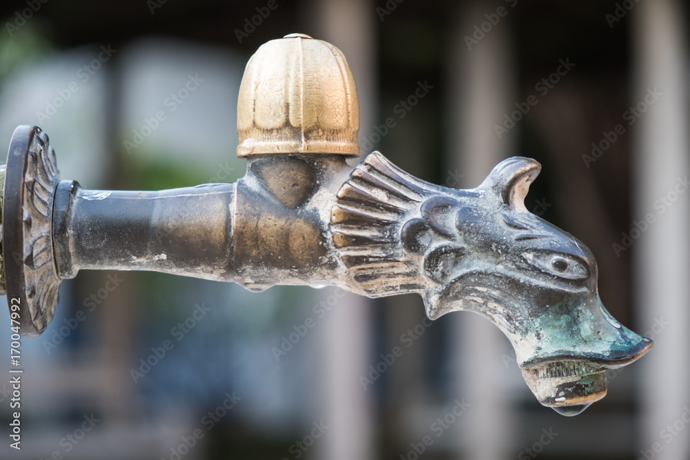 Vintage brass water tap in the shape of a dragon