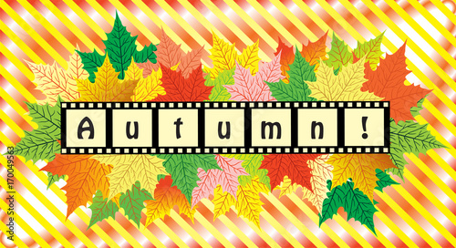 Background with maple autumn leaves