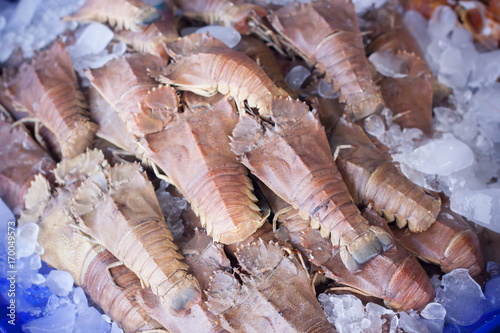 Flathead lobster in thailand market photo