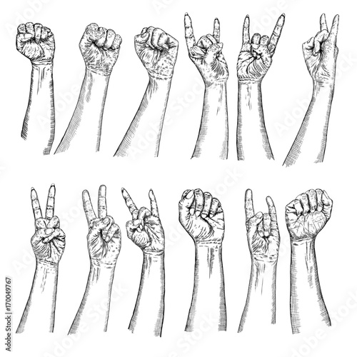 Set of victory, freedom and power, riot and revolution, rock music, concept hand gestures. Artistic hand drawn for posters female, male wrist and fist symbols. Man and woman finger signs. Vector.