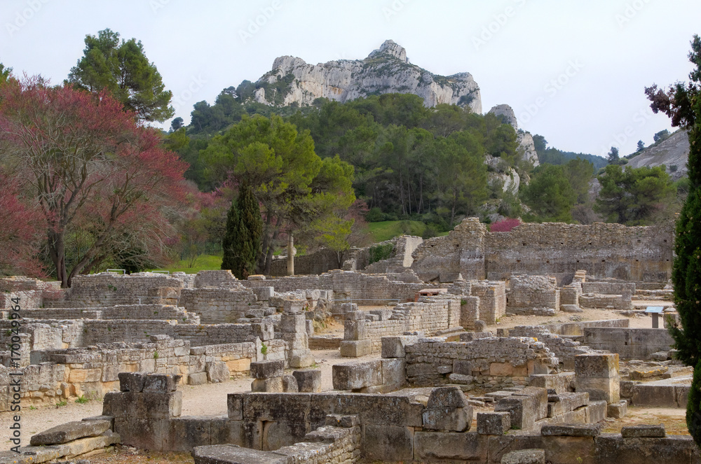 The archeology site of Glanum, in Provence