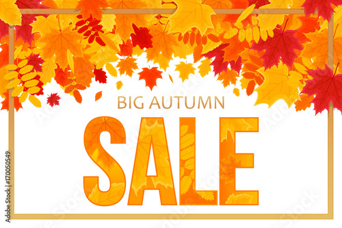 Horizontal Autumn Sale Banner. Foliage and Frame on White Background. Vector Illustration.