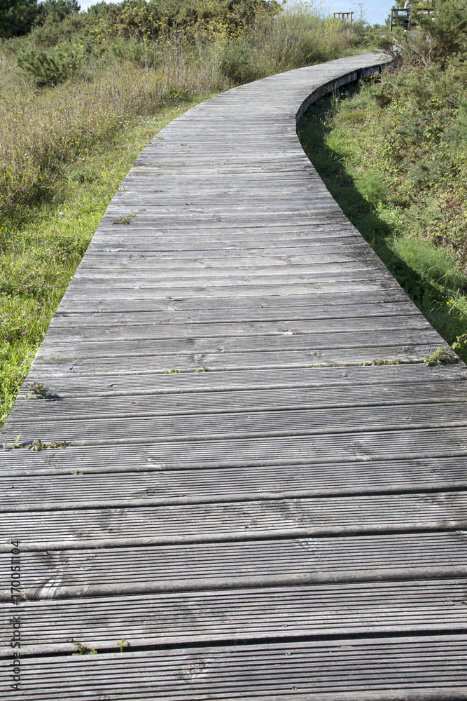 Fototapeta premium Footpath at Valdovino Beach, Galicia
