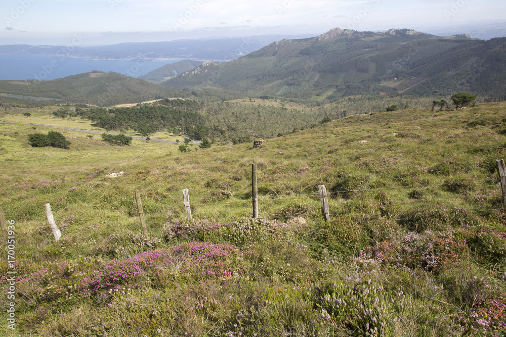 Countryside at Vixia Herbeira; Ortigueira; Galicia