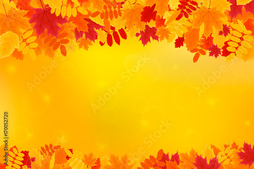 Colorful Autumn Leaves on Orange Background with Space for Your Text. Vector Illustration for the Autumn Theme.