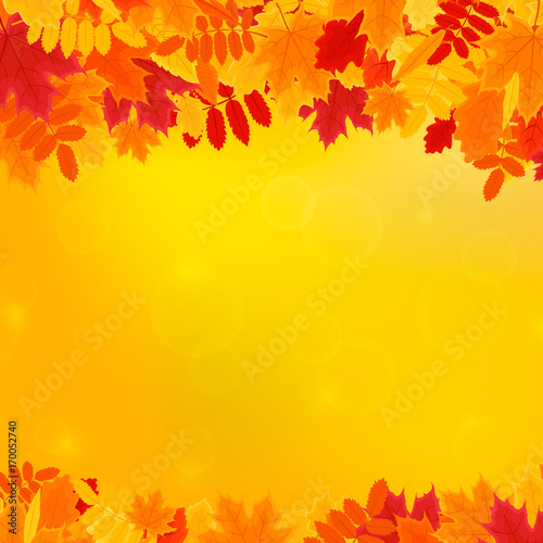 Colorful Autumn Leaves on Orange Background with Space for Your Text. Vector Illustration.