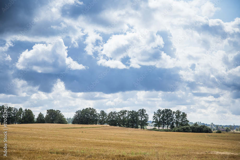 A beautiful country landscape with a wheat fields stretching into distance. Inspiring rural scenery at the end of summer. A beautiful country landscape with a wheat fields stretching into distance. Inspiring rural scenery at the end of summer.