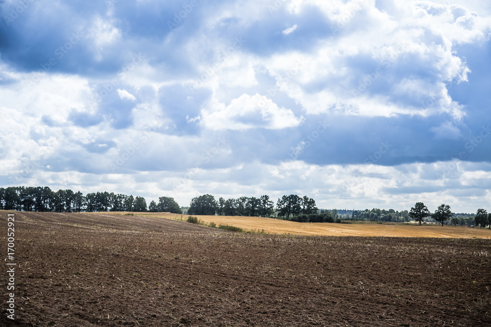 A beautiful country landscape with a wheat fields stretching into distance. Inspiring rural scenery at the end of summer. A beautiful country landscape with a wheat fields stretching into distance. Inspiring rural scenery at the end of summer.