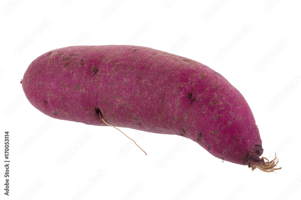 sweet potato isolated on over white background sweet potato isolated on over white background