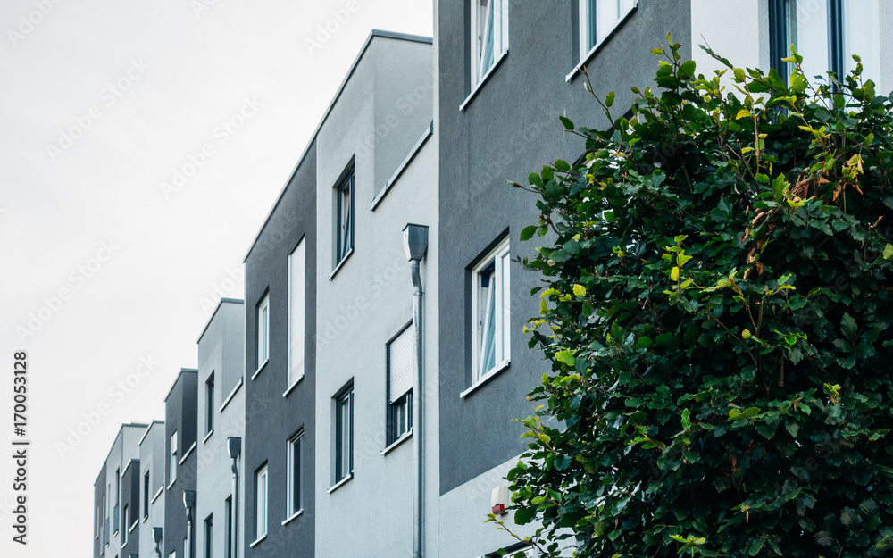 detailed view of white and grey townhouses with green tree