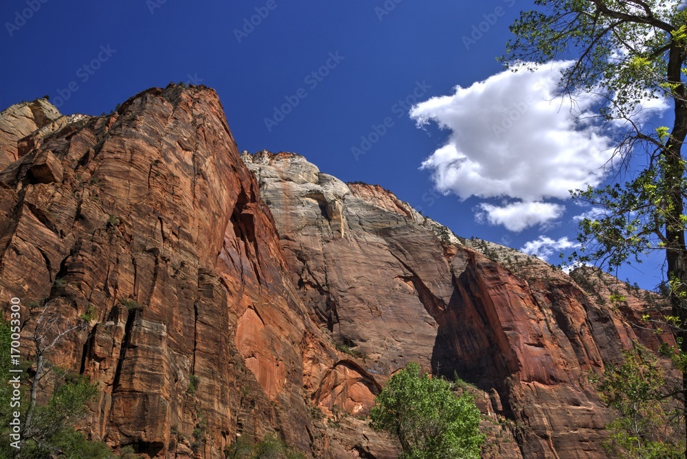 Clouds Above the Zion Canyon Walls
