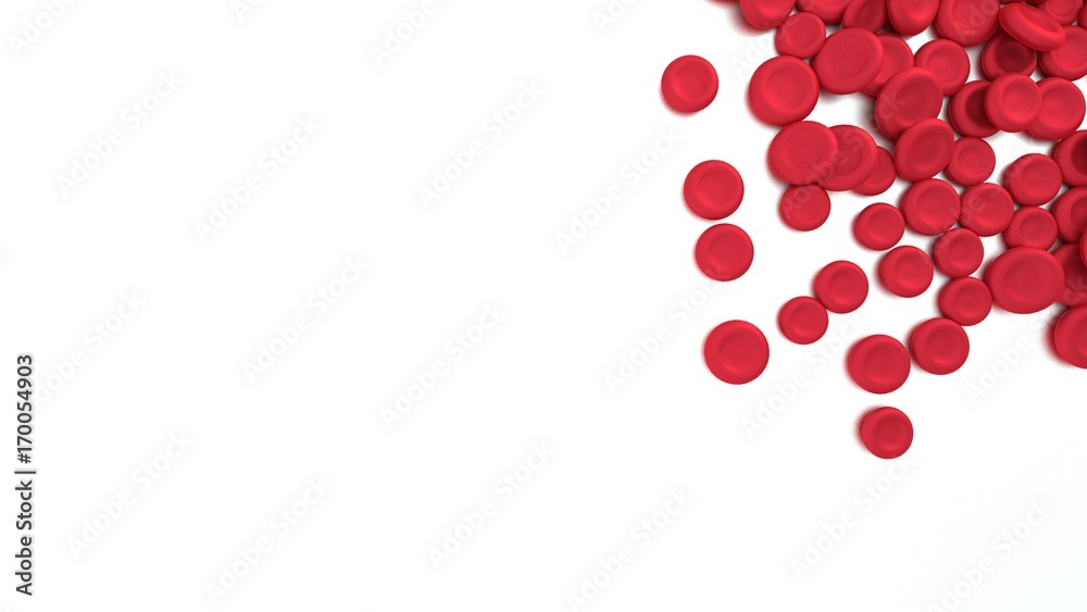 Red blood cells isolated on white background. Red blood cells isolated on white background.