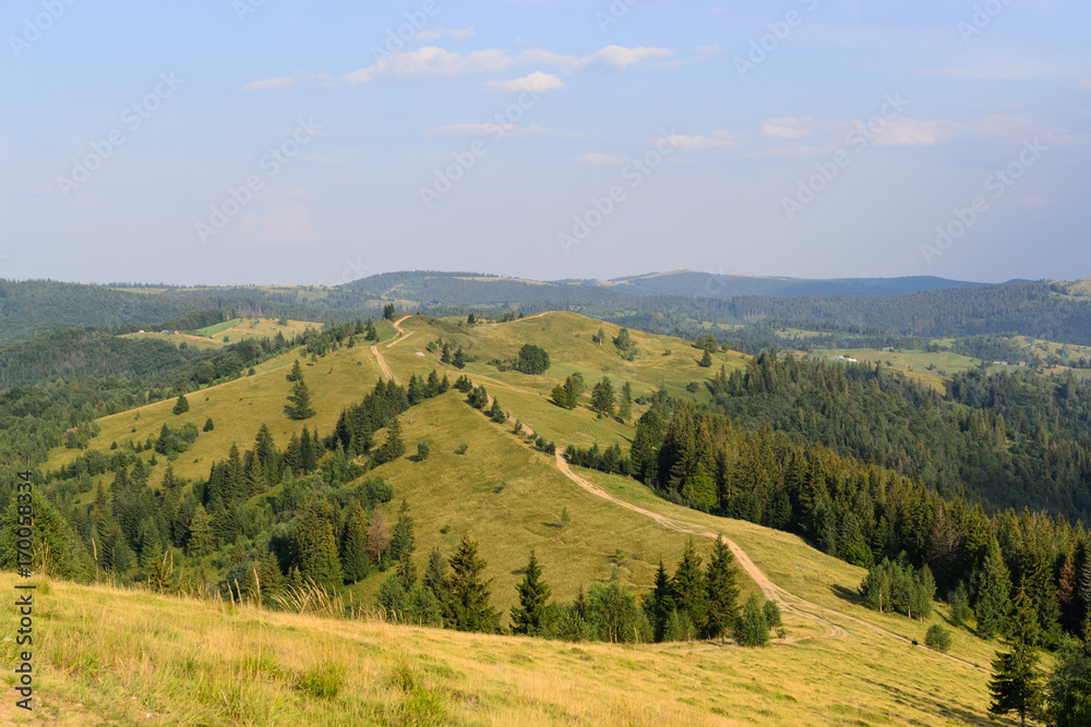 Mountain nature trail among meadows and forest landscape