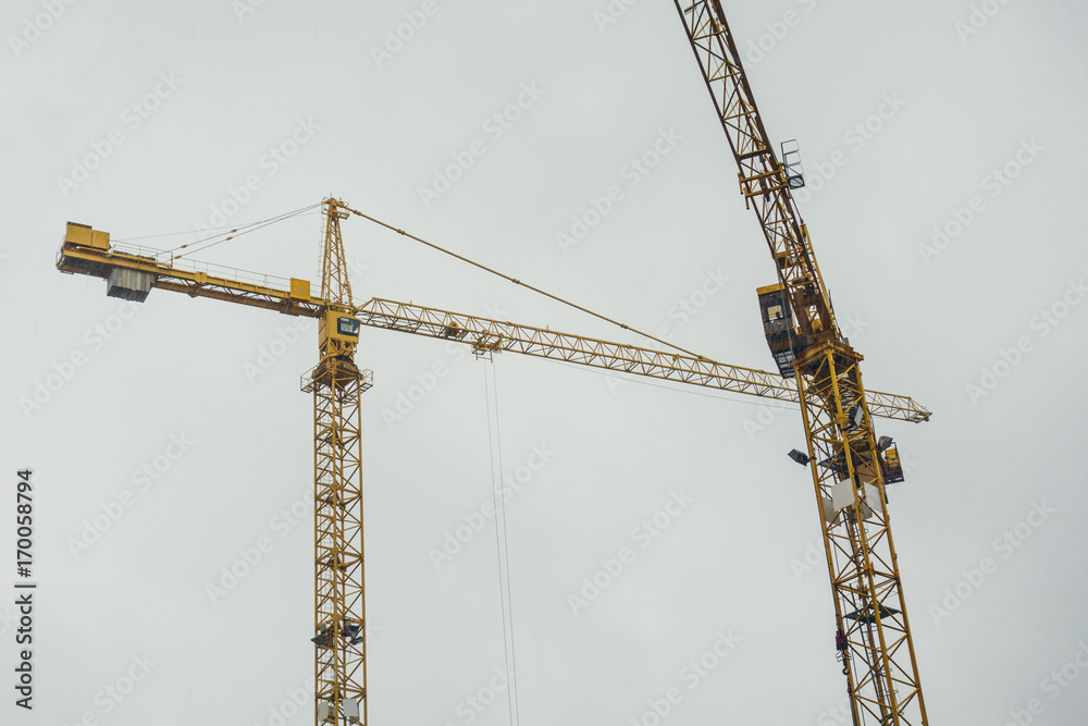 two cranes on a rainy day