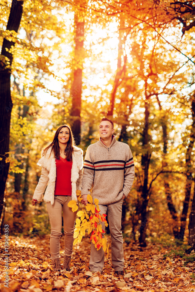 Autumn Walk Autumn Walk